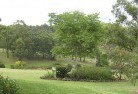 Thowgla Valleyresidential-landscaping-40.jpg; ?>
